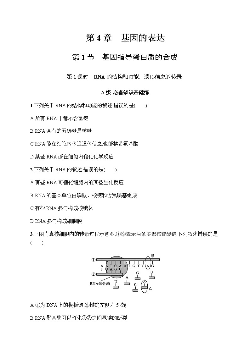 人教版高中生物必修二RNA的结构和功能、遗传信息的转录作业含答案01