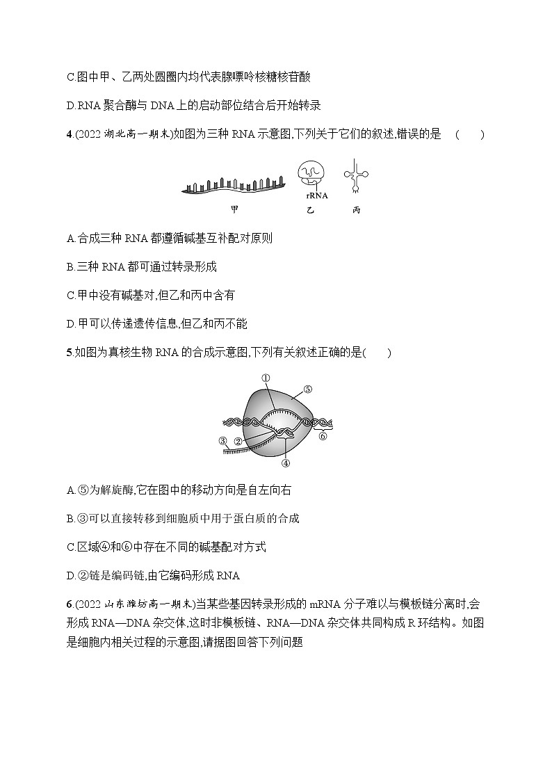 人教版高中生物必修二RNA的结构和功能、遗传信息的转录作业含答案02