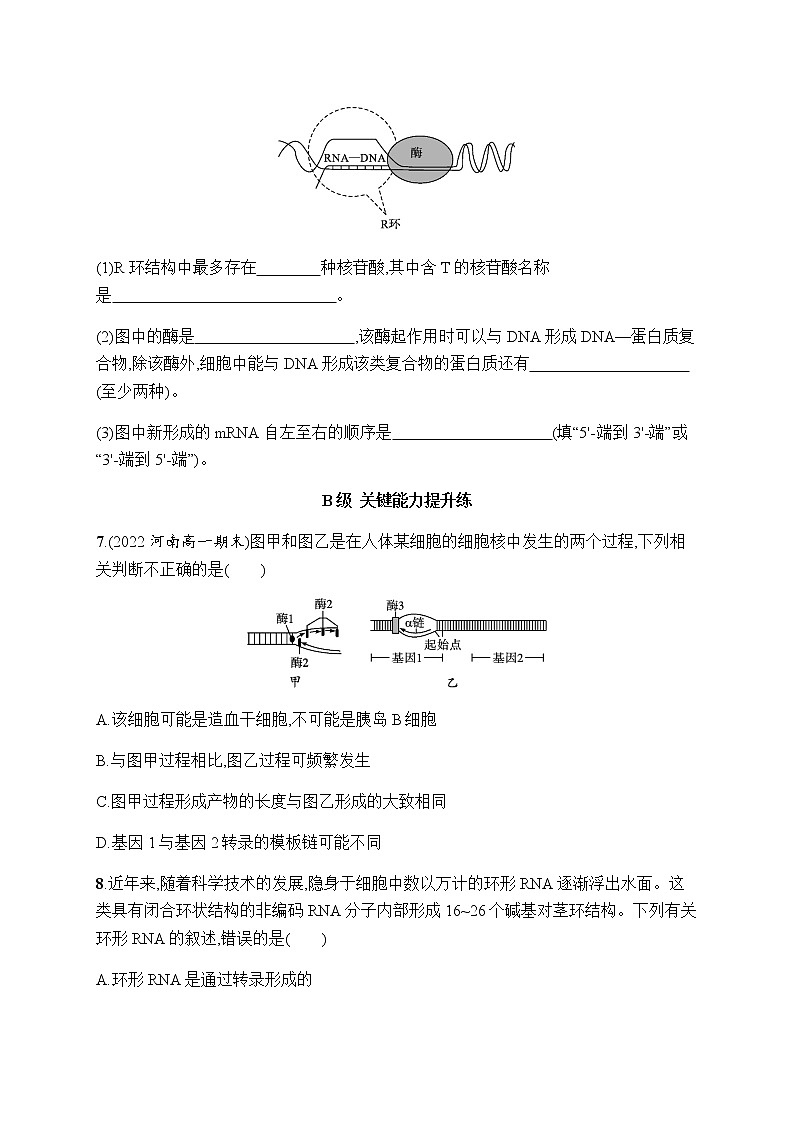 人教版高中生物必修二RNA的结构和功能、遗传信息的转录作业含答案03