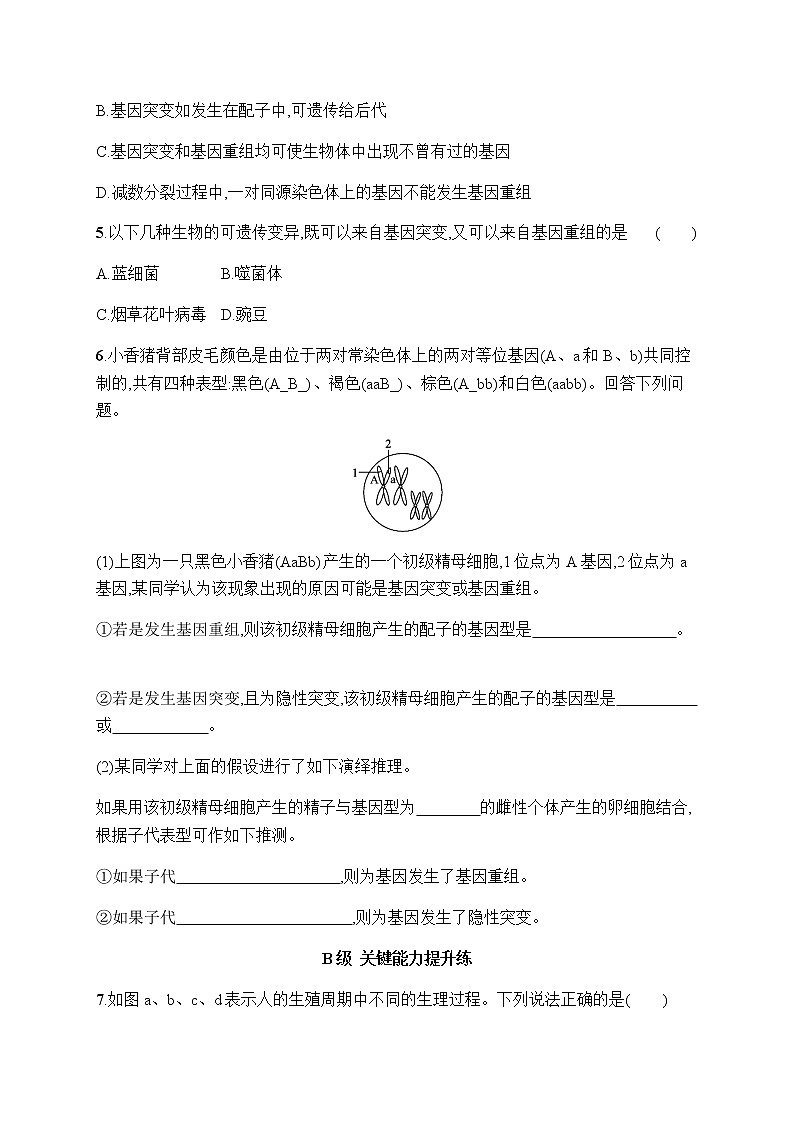 人教版高中生物必修二基因重组作业含答案02