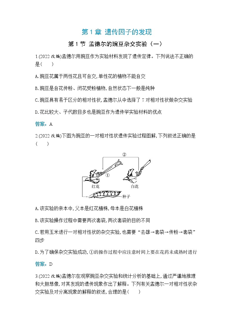 人教版高中生物必修二孟德尔的豌豆杂交实验（一）作业含答案01