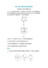 高中生物人教版 (2019)必修2《遗传与进化》一 减数分裂课时练习