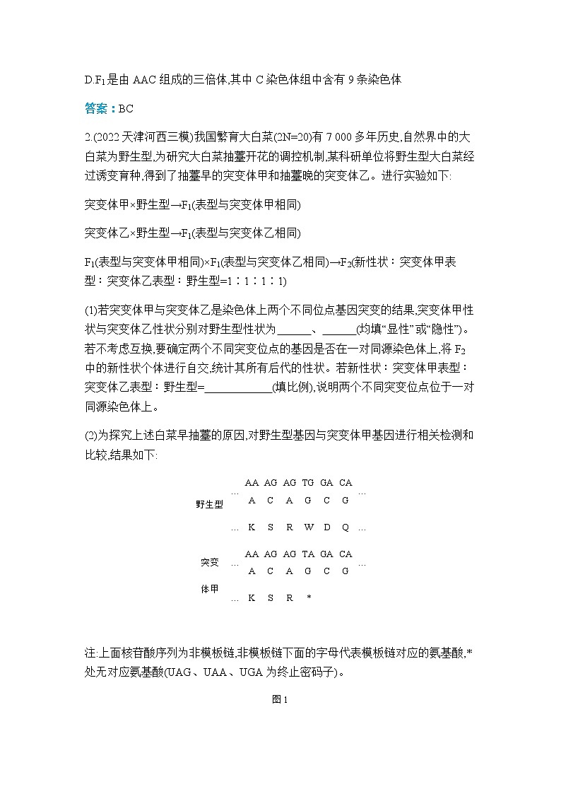 人教版高中生物必修二育种作业含答案02