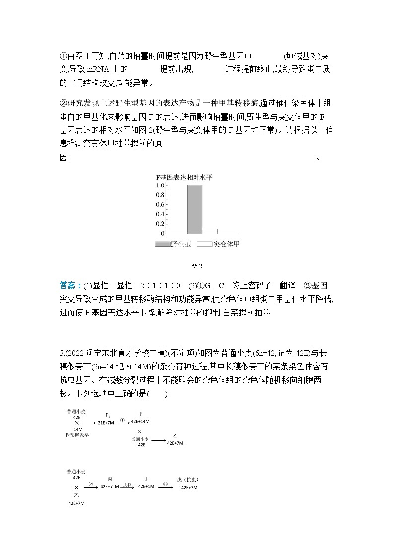 人教版高中生物必修二育种作业含答案03