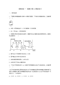 高中生物人教版 (2019)必修2《遗传与进化》一 减数分裂综合训练题