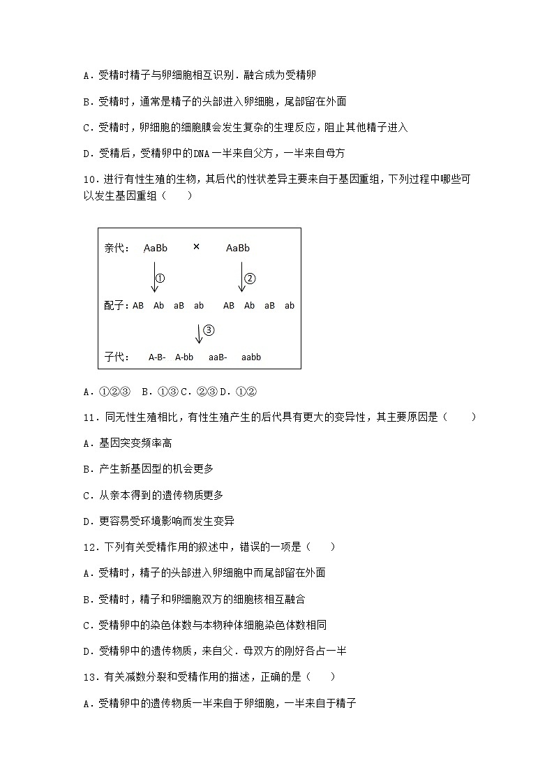 人教版高中生物必修2一减数分裂随堂作业含答案303