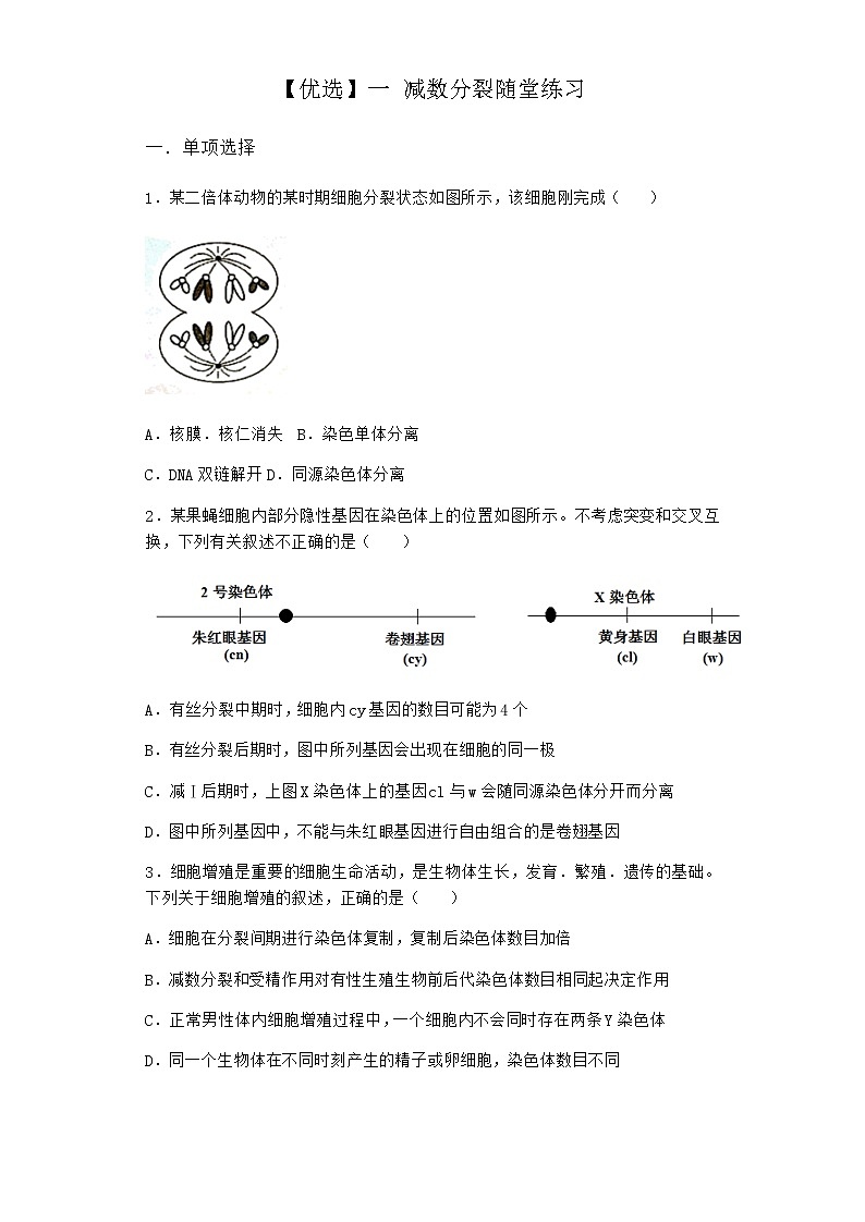 人教版高中生物必修2一减数分裂随堂作业含答案401