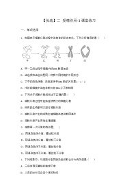 高中生物人教版 (2019)必修2《遗传与进化》二 受精作用达标测试