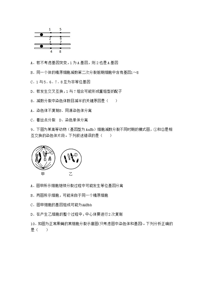 人教版高中生物必修2二受精作用随堂作业含答案303