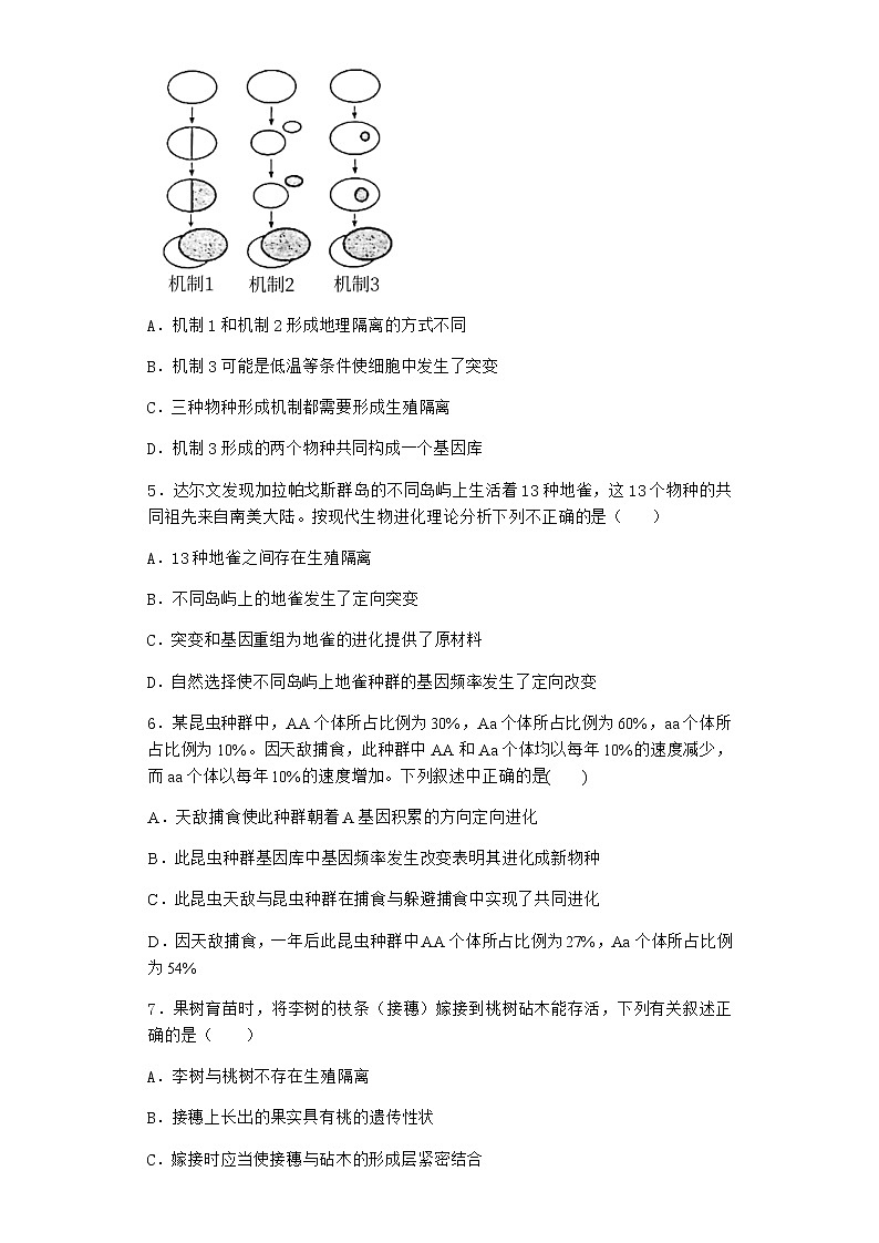 人教版高中生物必修2一种群基因组成的变化随堂作业含答案1第2页