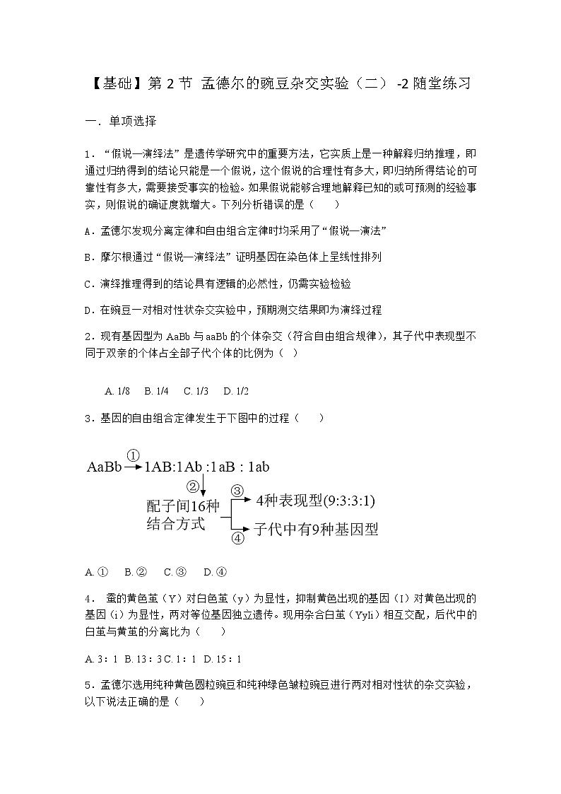 人教版高中生物必修2第2节孟德尔的豌豆杂交实验（二）随堂作业含答案101