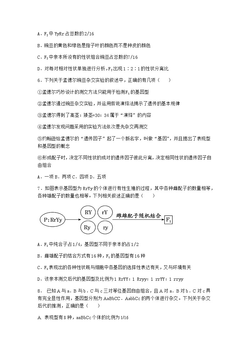 人教版高中生物必修2第2节孟德尔的豌豆杂交实验（二）随堂作业含答案102