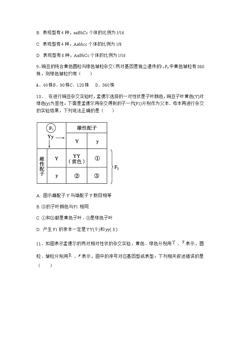 人教版高中生物必修2第2节孟德尔的豌豆杂交实验（二）随堂作业含答案103
