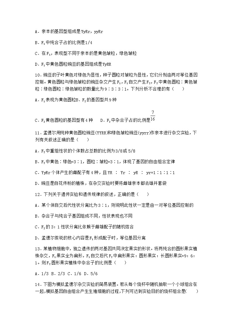 人教版高中生物必修2第2节孟德尔的豌豆杂交实验（二）随堂作业含答案2第3页