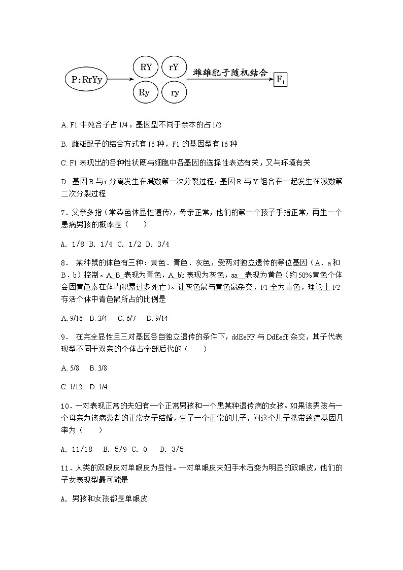 人教版高中生物必修2第2节孟德尔的豌豆杂交实验（二）随堂作业含答案3第2页