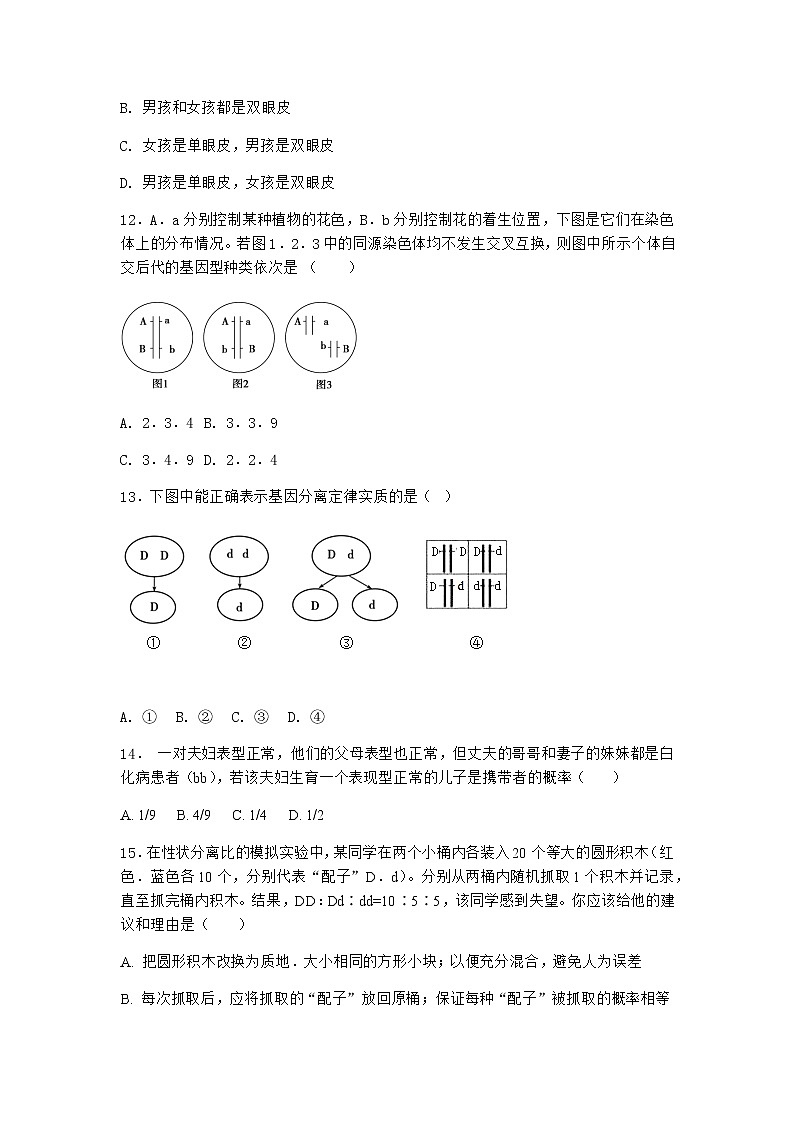 人教版高中生物必修2第2节孟德尔的豌豆杂交实验（二）随堂作业含答案3第3页