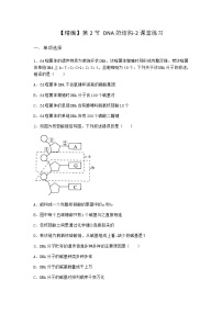 高中人教版 (2019)第3章 基因的本质第2节 DNA的结构当堂达标检测题