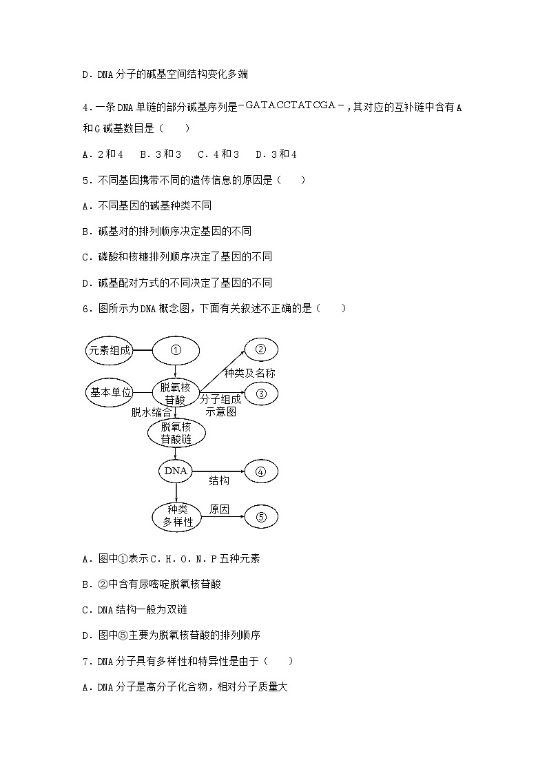 人教版高中生物必修2第2节DNA的结构课堂作业含答案1第2页