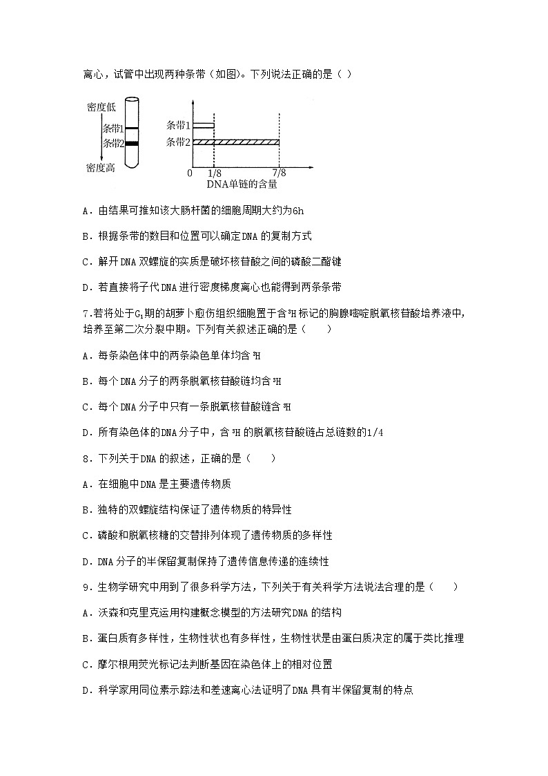 人教版高中生物必修2第3节DNA的复制课堂作业含答案第3页