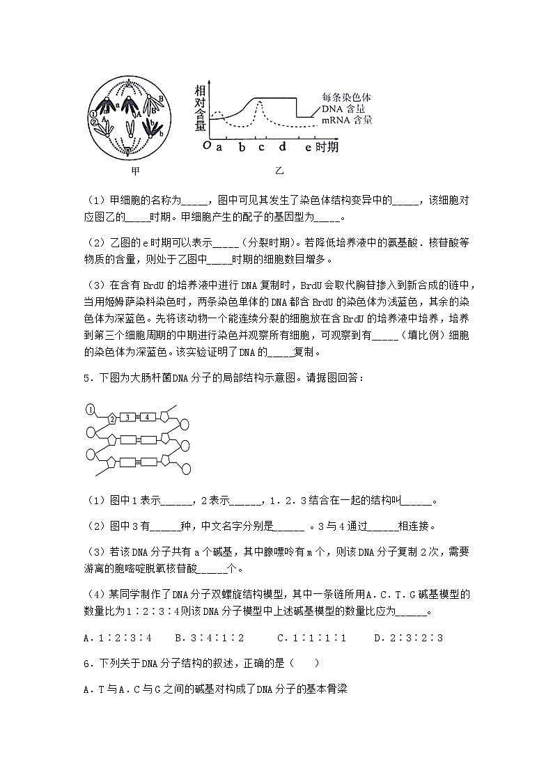 人教版高中生物必修2第3节DNA的复制课堂作业含答案1第2页