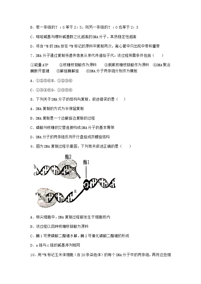 人教版高中生物必修2第3节DNA的复制课堂作业含答案1第3页