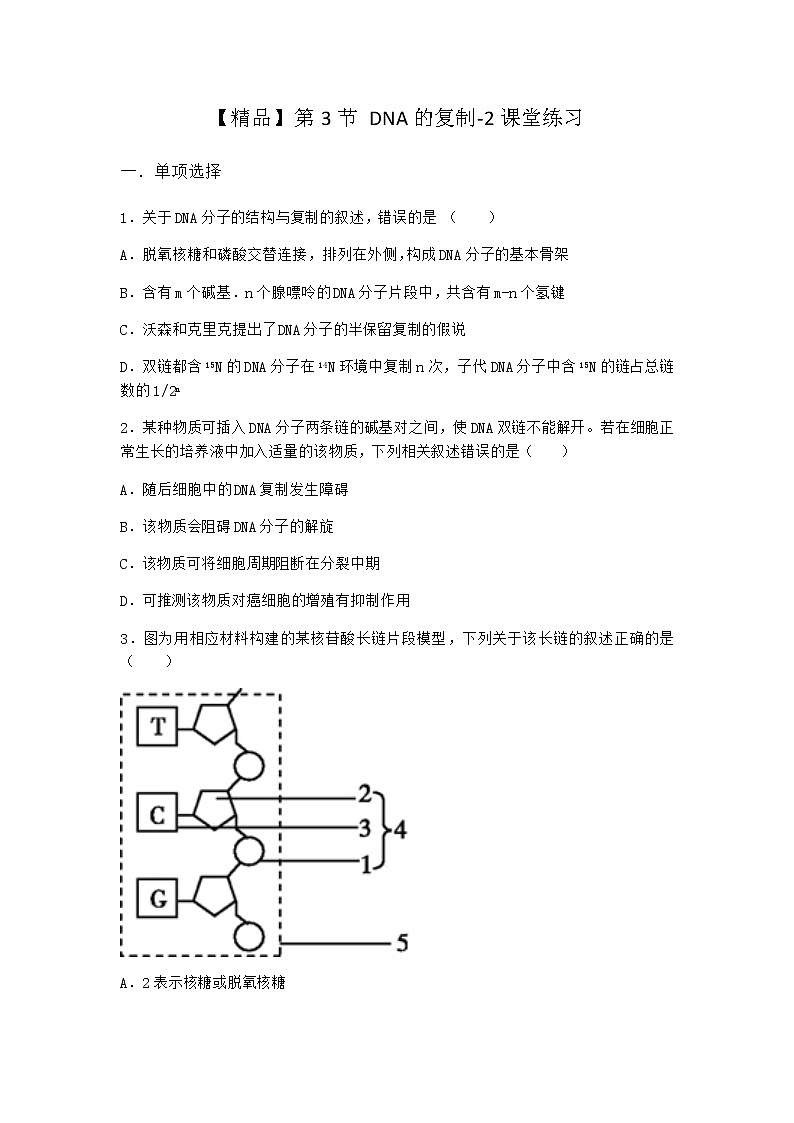 人教版高中生物必修2第3节DNA的复制课堂作业含答案2第1页