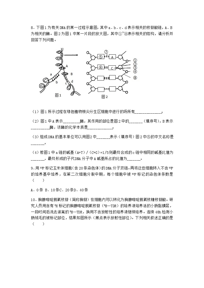 人教版高中生物必修2第3节DNA的复制课堂作业含答案2第3页