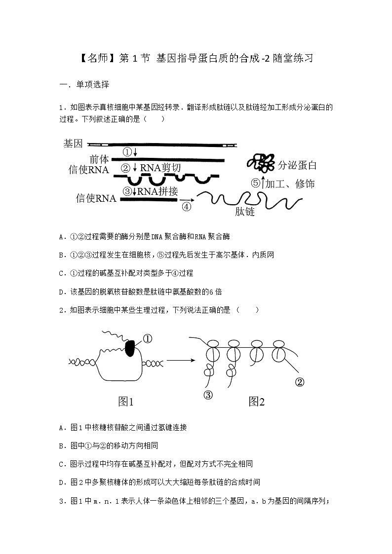 人教版高中生物必修2第1节基因指导蛋白质的合成随堂作业含答案101