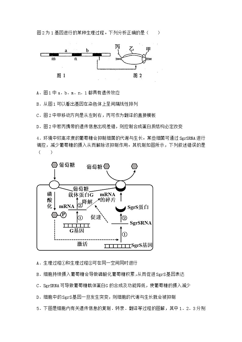 人教版高中生物必修2第1节基因指导蛋白质的合成随堂作业含答案102