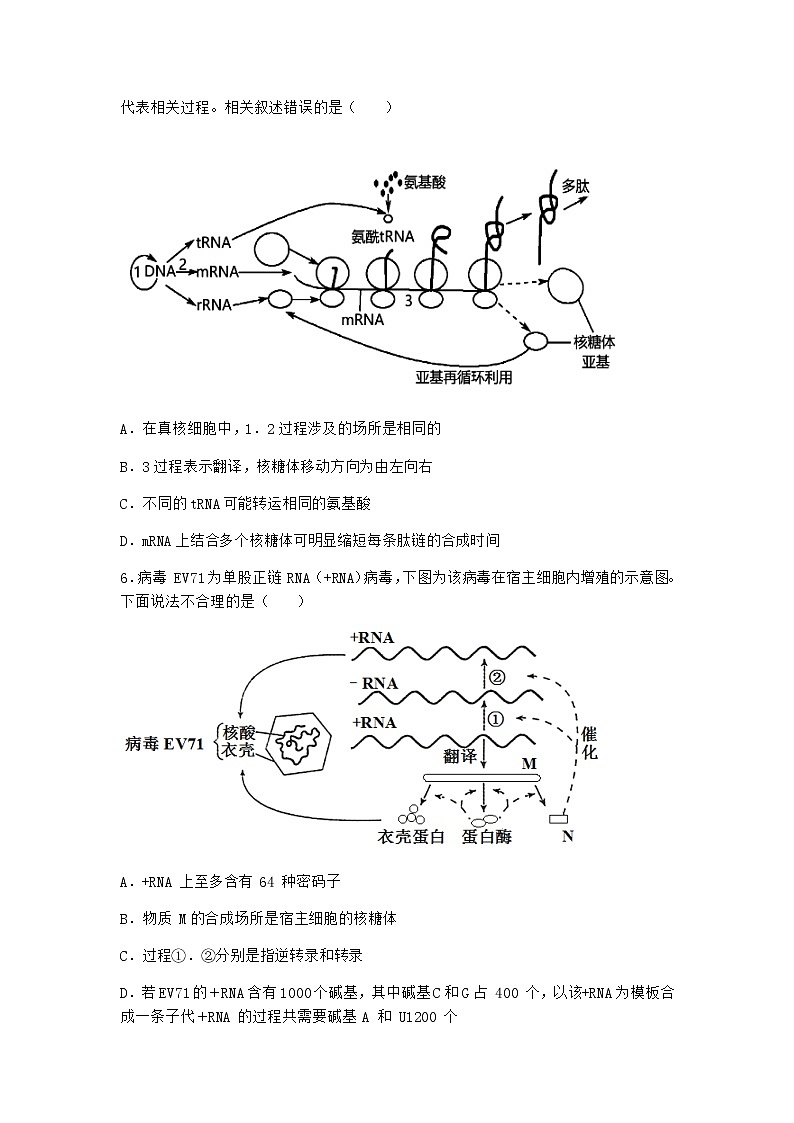 人教版高中生物必修2第1节基因指导蛋白质的合成随堂作业含答案103