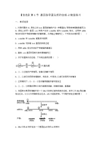 人教版 (2019)必修2《遗传与进化》第1节 基因指导蛋白质的合成练习