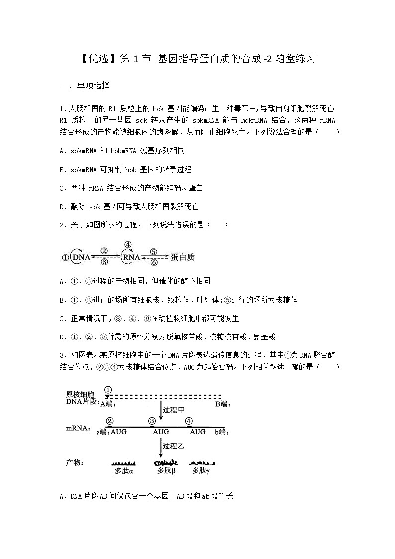 人教版高中生物必修2第1节基因指导蛋白质的合成随堂作业含答案201