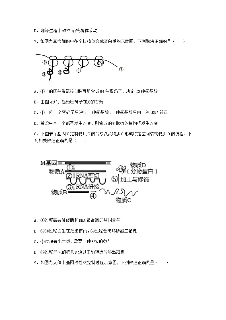 人教版高中生物必修2第1节基因指导蛋白质的合成随堂作业含答案203
