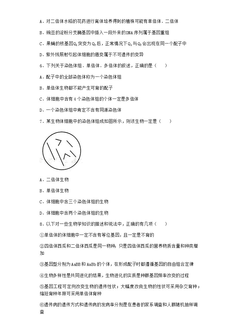 人教版高中生物必修2第2节染色体变异随堂作业含答案202