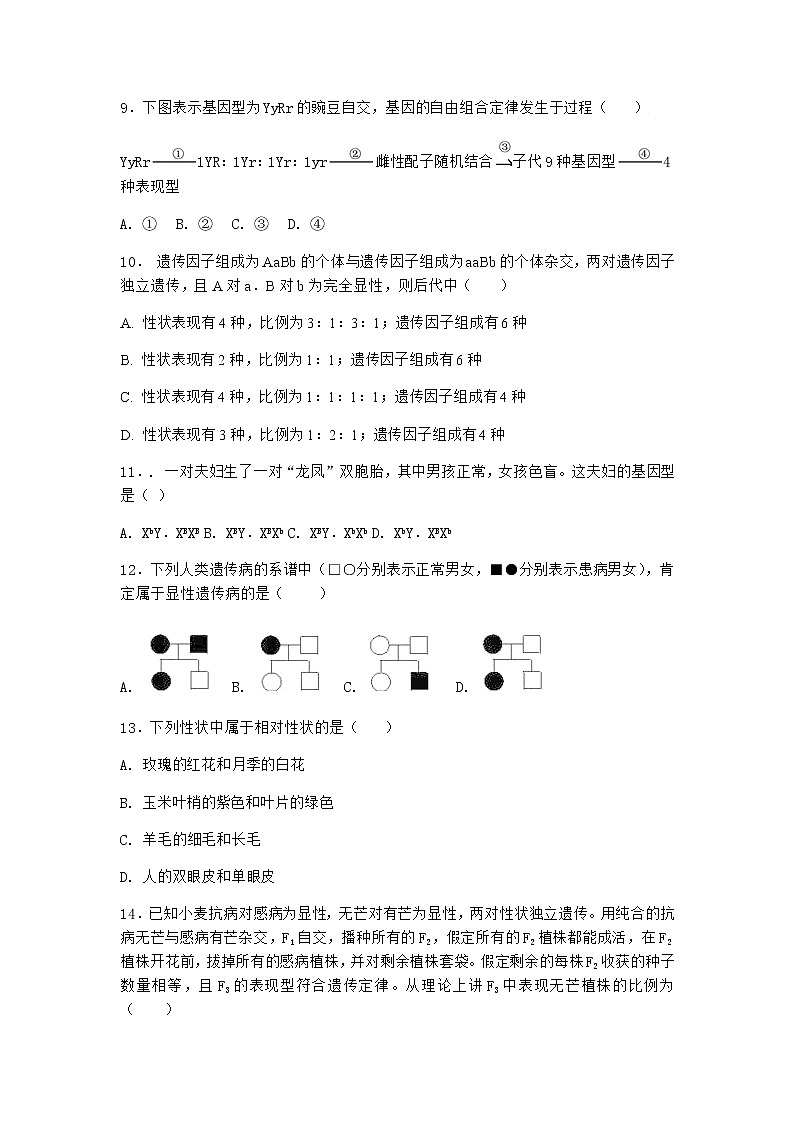 人教版高中生物必修2第2节孟德尔的豌豆杂交实验（二）优质作业含答案2第3页