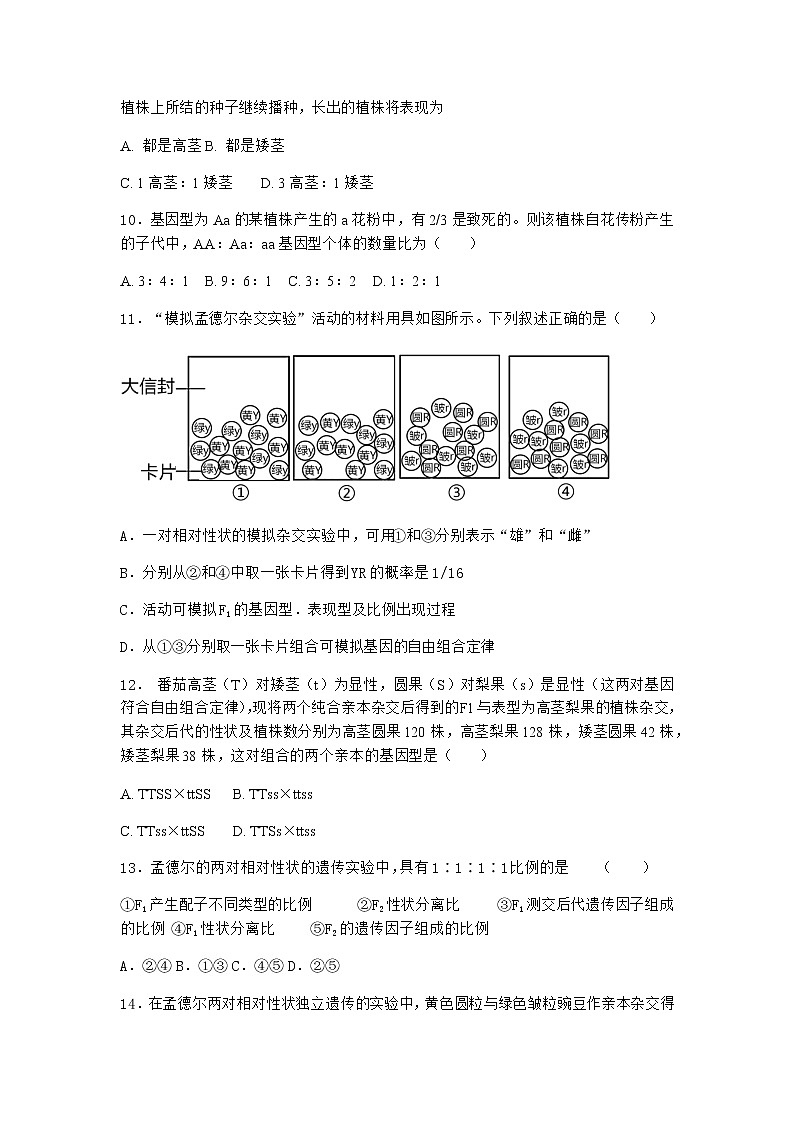 人教版高中生物必修2第2节孟德尔的豌豆杂交实验（二）优选作业含答案3第3页