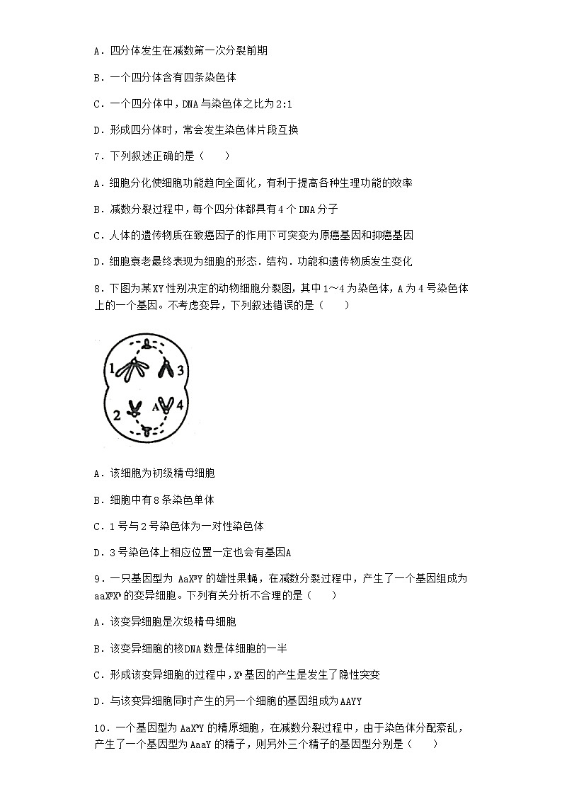 人教版高中生物必修2二受精作用优质作业含答案02