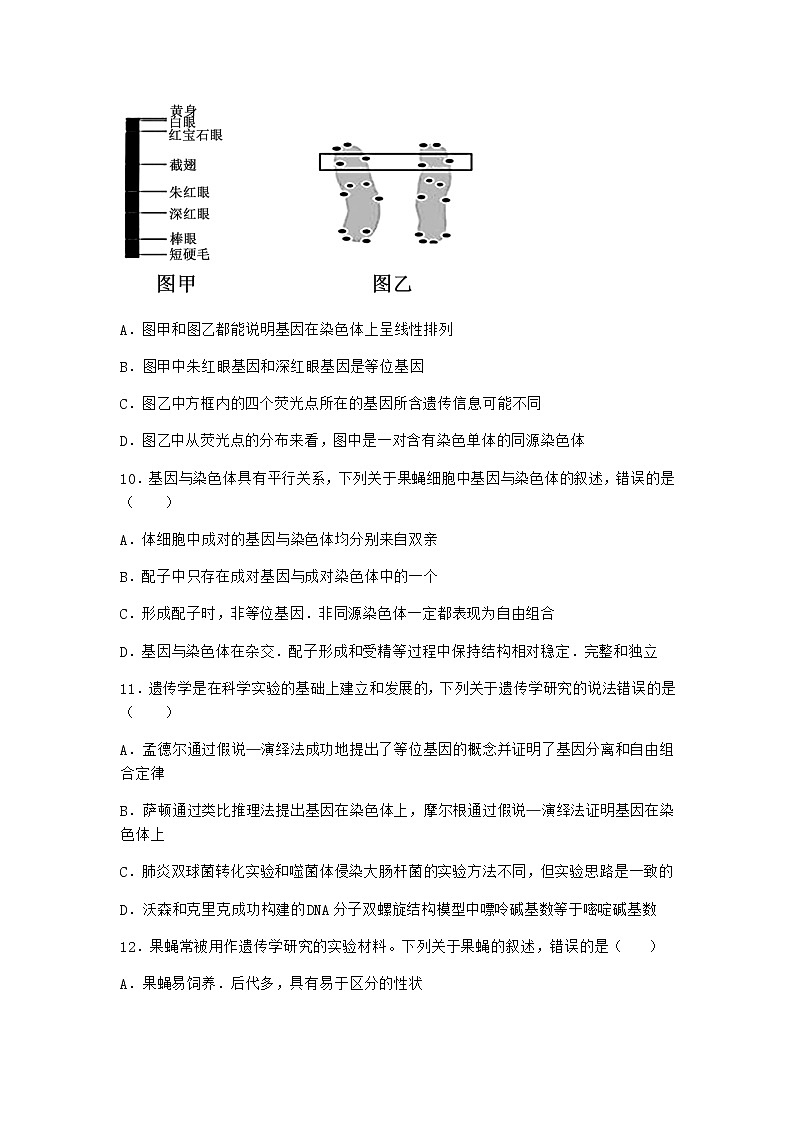 人教版高中生物必修2第2节基因在染色体上优选作业含答案第3页