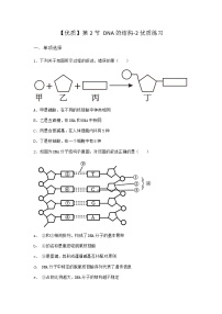 高中生物人教版 (2019)必修2《遗传与进化》第2节 DNA的结构随堂练习题