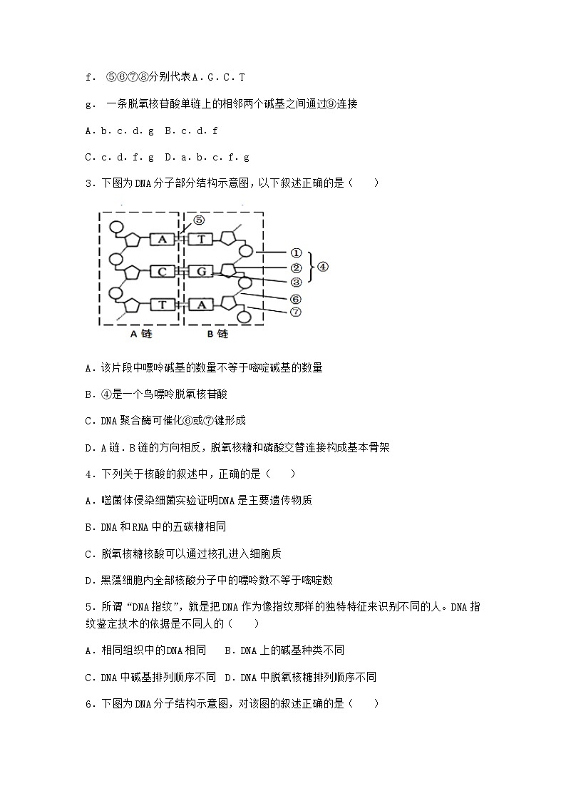 人教版高中生物必修2第2节DNA的结构优质作业含答案第2页