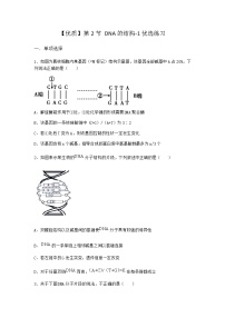 高中第2节 DNA的结构当堂检测题