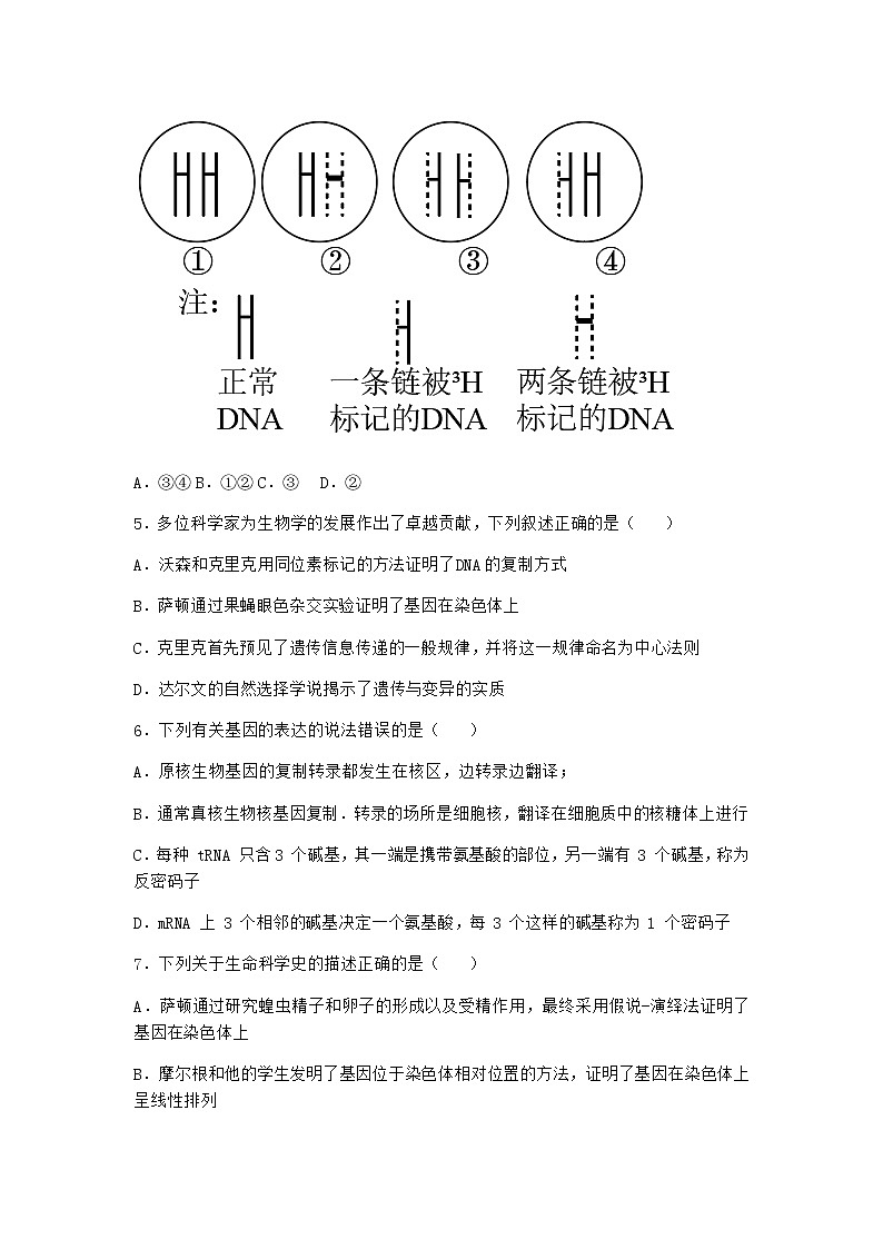人教版高中生物必修2第3节DNA的复制优质作业含答案第2页