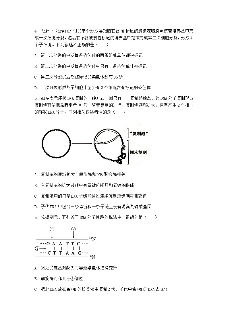 人教版高中生物必修2第3节DNA的复制优选作业含答案第2页