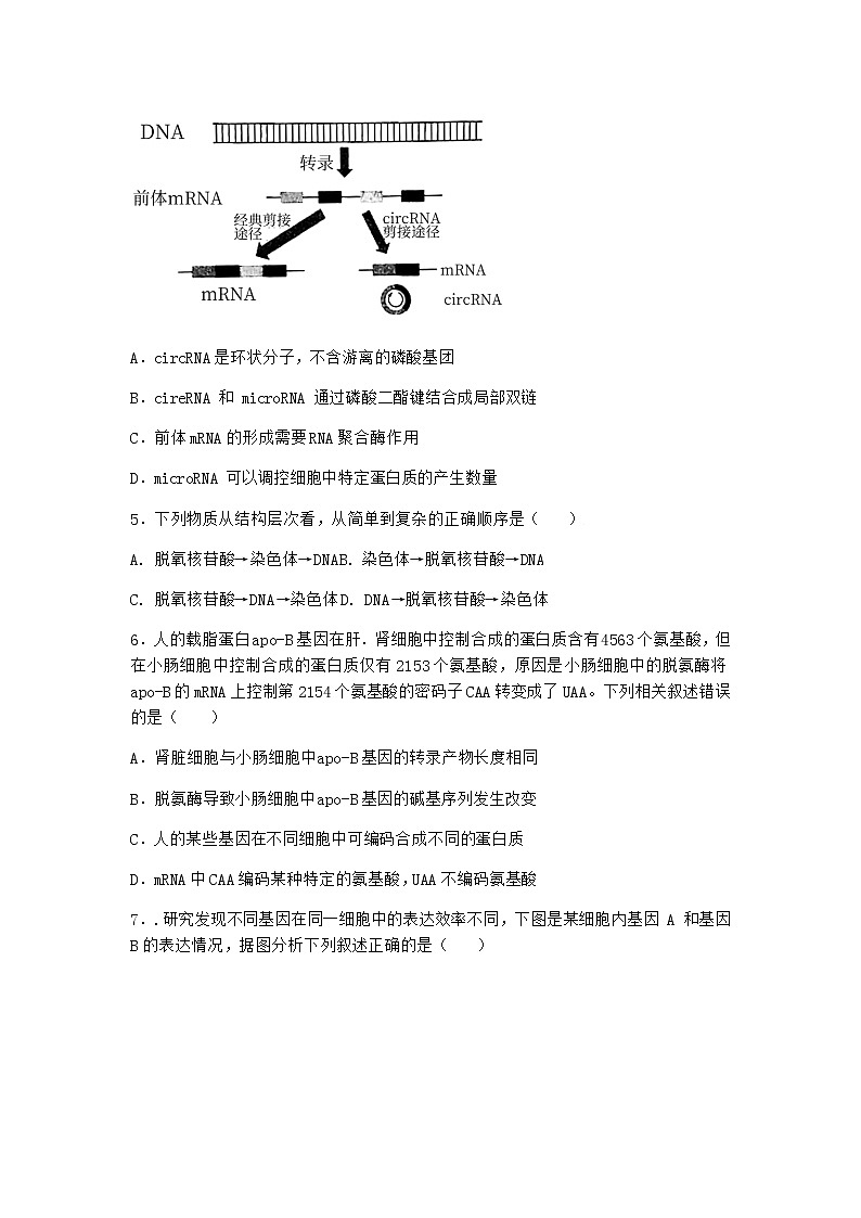 人教版高中生物必修2第1节基因指导蛋白质的合成优质作业含答案第2页