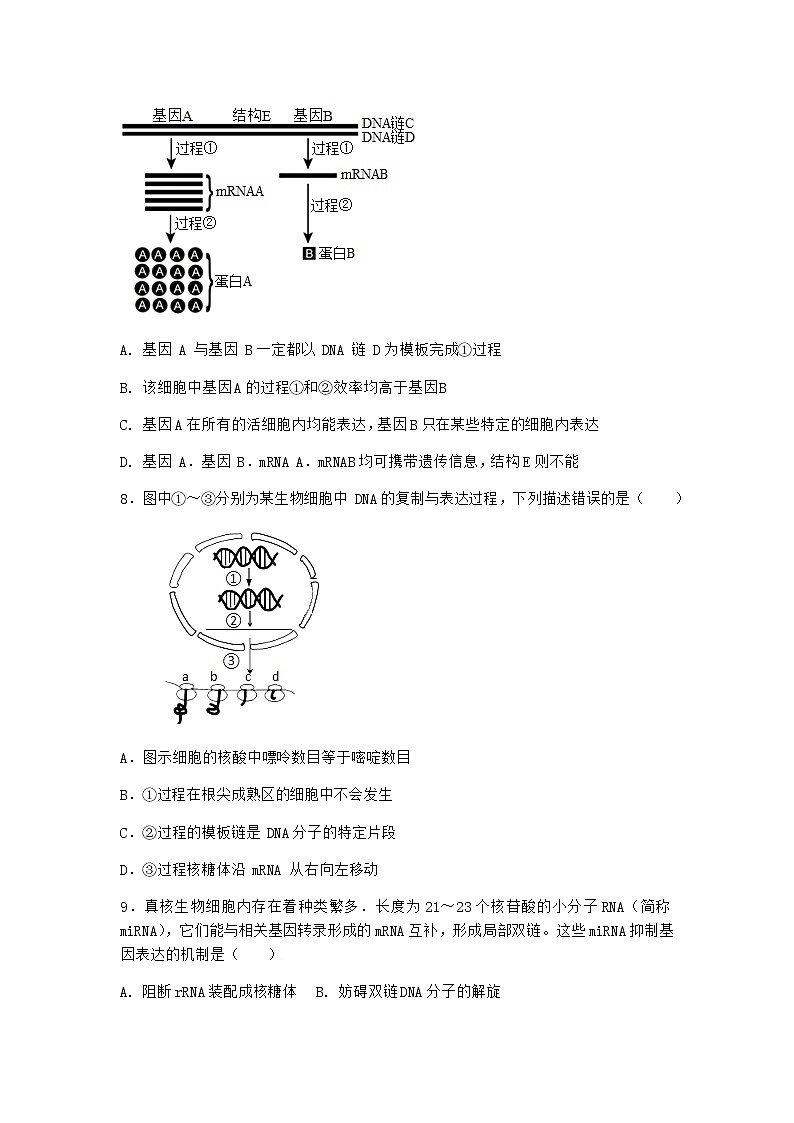 人教版高中生物必修2第1节基因指导蛋白质的合成优质作业含答案第3页