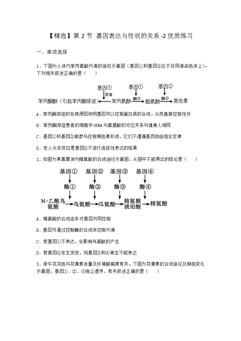 人教版高中生物必修2第2节基因表达与性状的关系优质作业含答案101