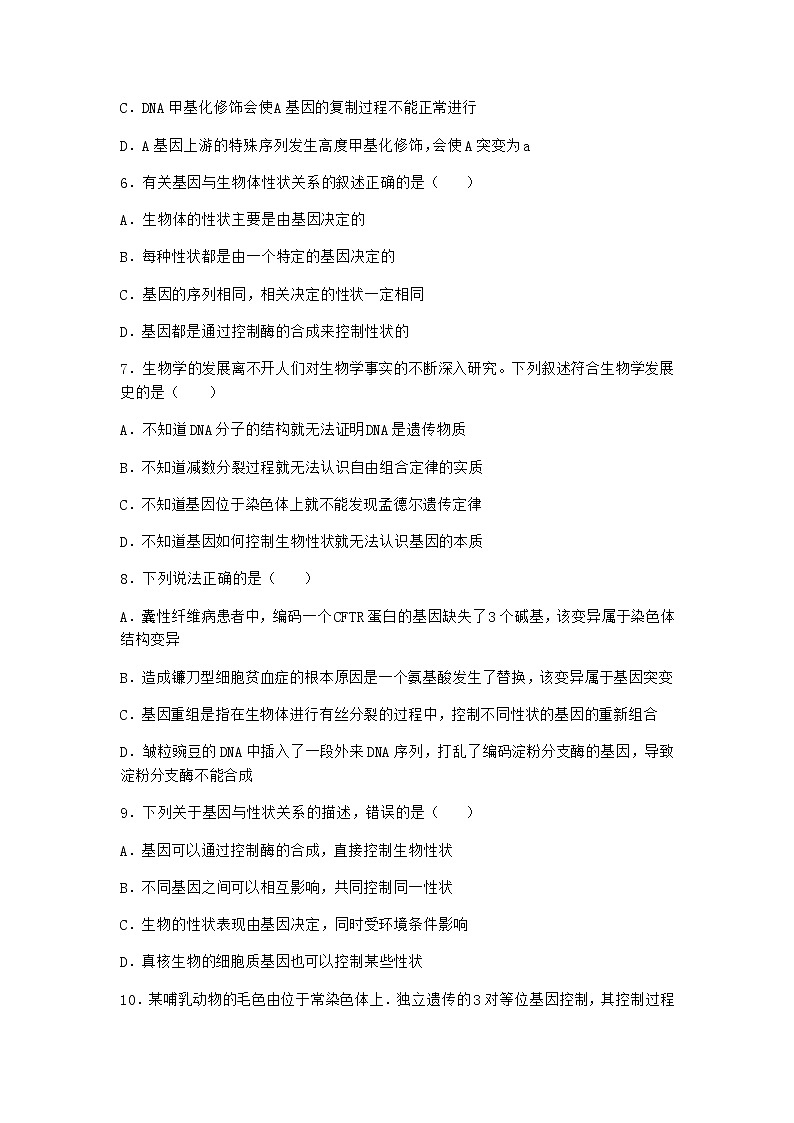 人教版高中生物必修2第2节基因表达与性状的关系优质作业含答案103