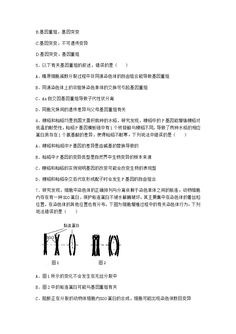 人教版高中生物必修2第1节基因突变和基因重组优选作业含答案102