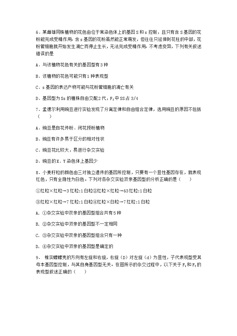 人教版高中生物必修2第1节孟德尔的豌豆杂交实验（一）课时作业含答案2第2页