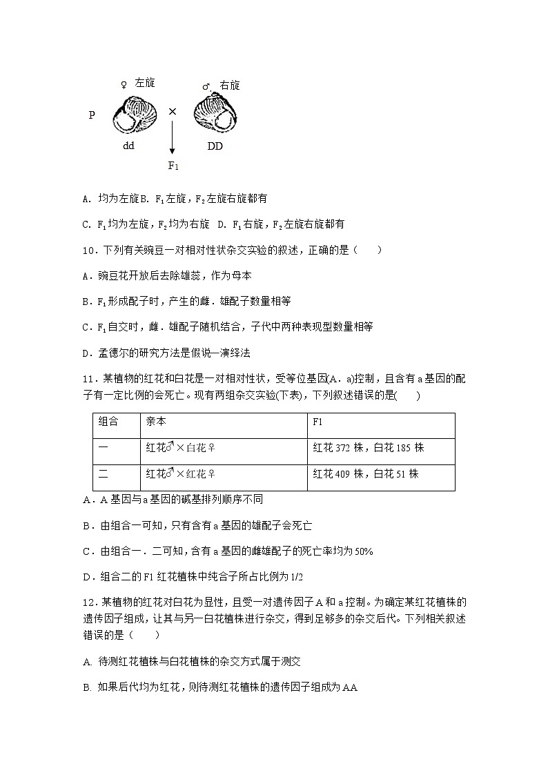 人教版高中生物必修2第1节孟德尔的豌豆杂交实验（一）课时作业含答案2第3页